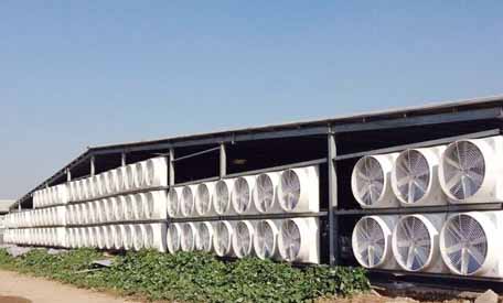 玻璃钢风机 玻璃钢风机