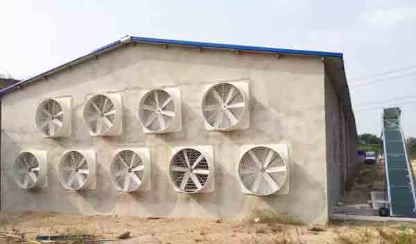 夏季猪舍通风降温 夏季猪舍通风降温