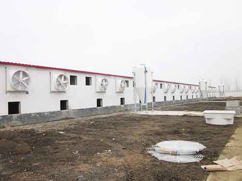 畜牧负压风机 畜牧负压风机