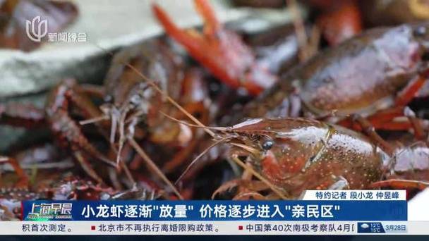 小龙虾价格腰斩;小龙虾价格腰斩!预计还要跌