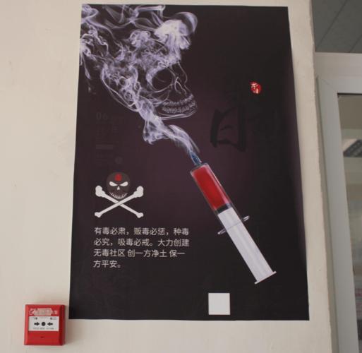 收集各类澳门彩资料的软件叫什么:猫咪向监狱走私毒品