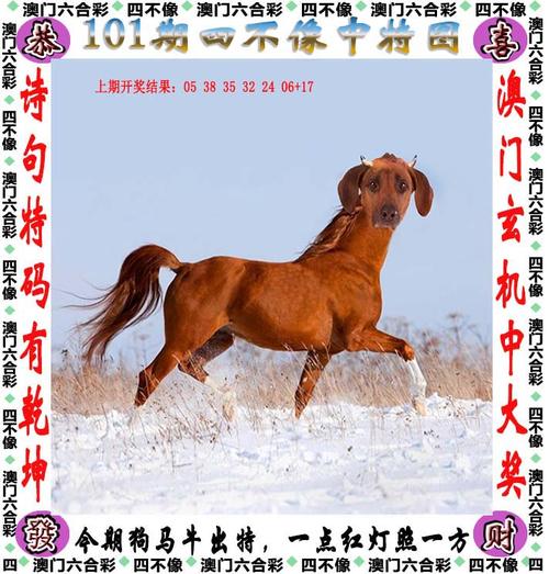 2025澳门天天开好彩大全2023:武大校门被淹一米深