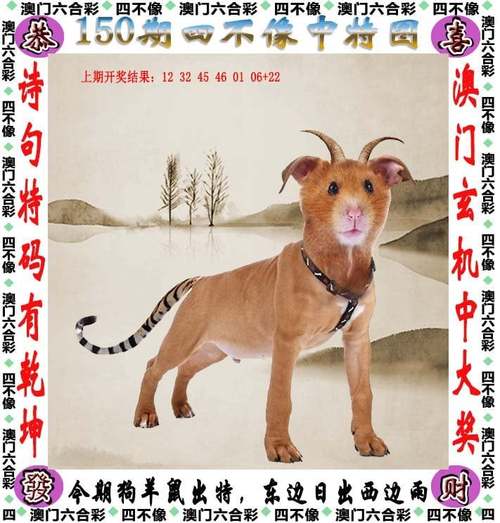 2025年5月23日 第18页