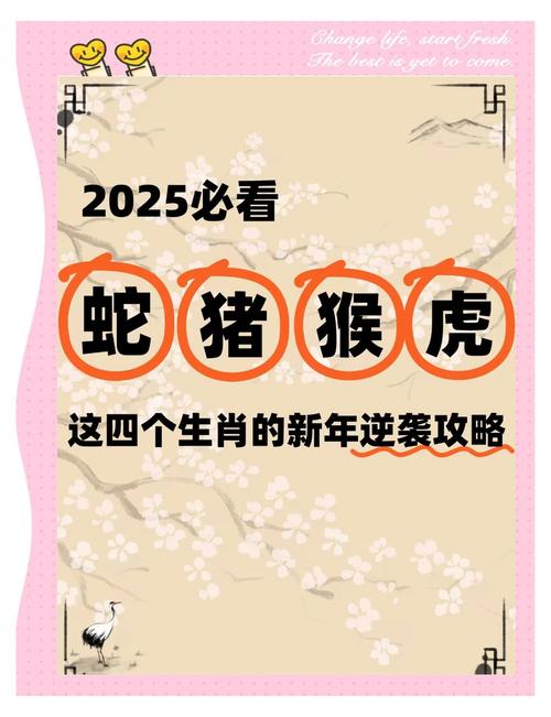2025年5月25日 第18页