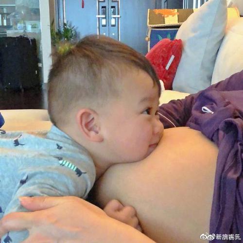 新澳今日图片分析:演员为二胎放弃女一
