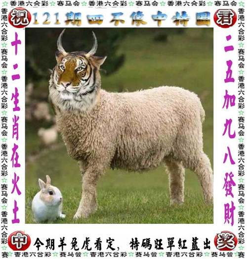 新澳彩免费长期资料大全:上海一天三楼盘日光